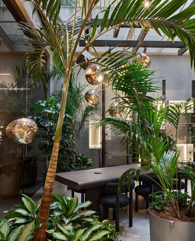 Aveneneria Spheres Pendant Lamp