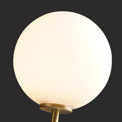 Calisiella Wall Light