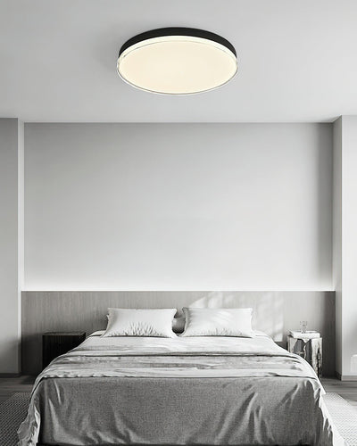 Cemariel Modern Minimalist Ceiling Lamp