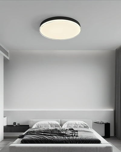Cemariel Modern Minimalist Ceiling Lamp