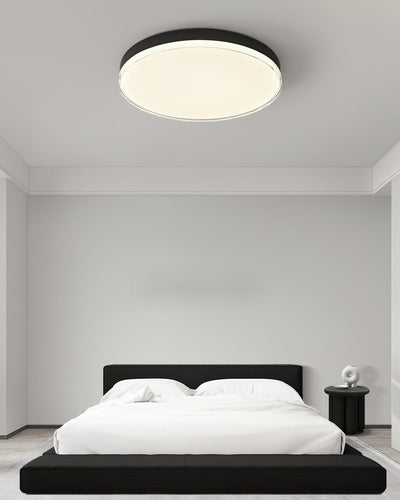 Cemariel Modern Minimalist Ceiling Lamp