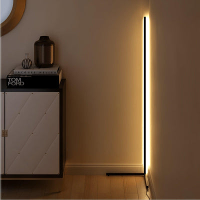 Seleina Minimalist Floor Lamp