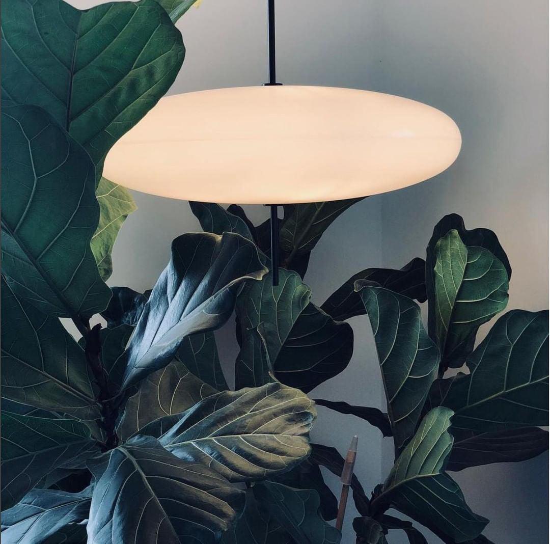 Rivaniella Pendant Lamp Joined Black-Painted for Living Room