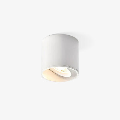 Celinaya Ceiling Light Acrylic