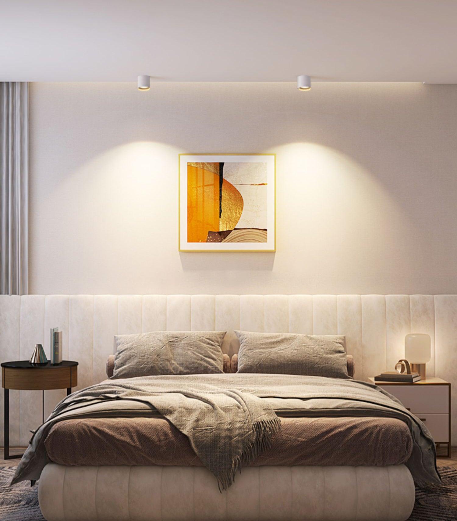 Celinaya Ceiling Light Acrylic