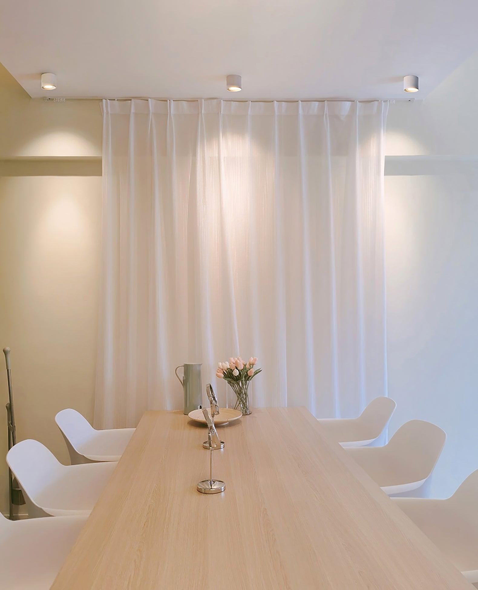 Celinaya Ceiling Light Acrylic