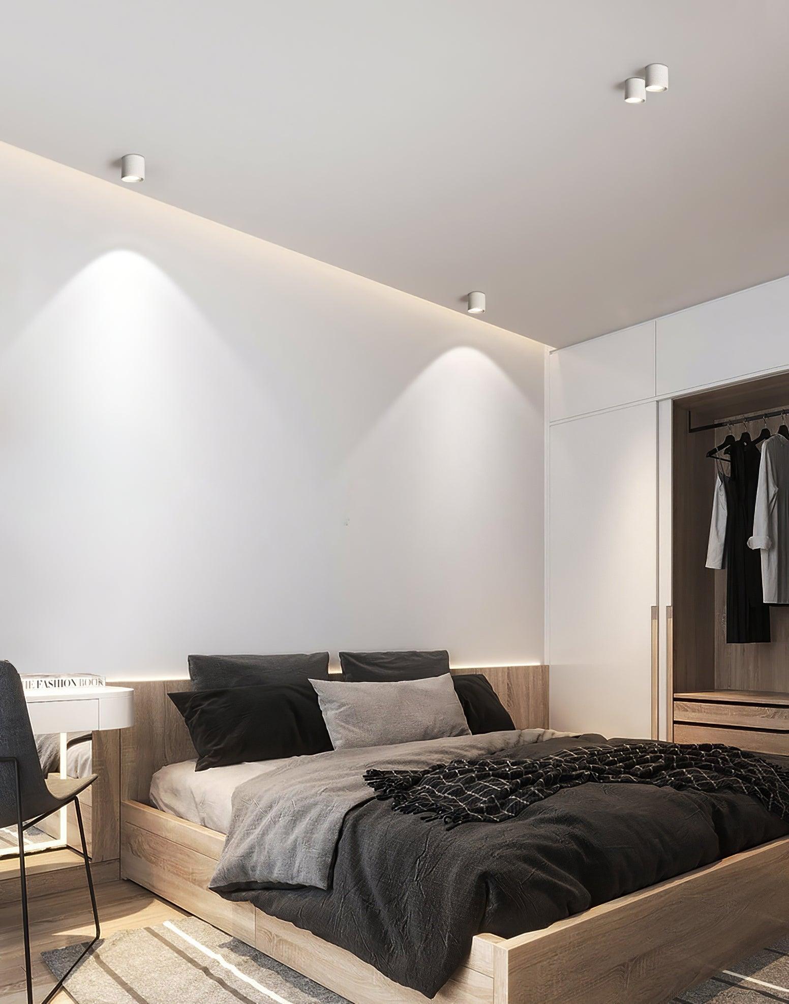 Celinaya Ceiling Light Acrylic