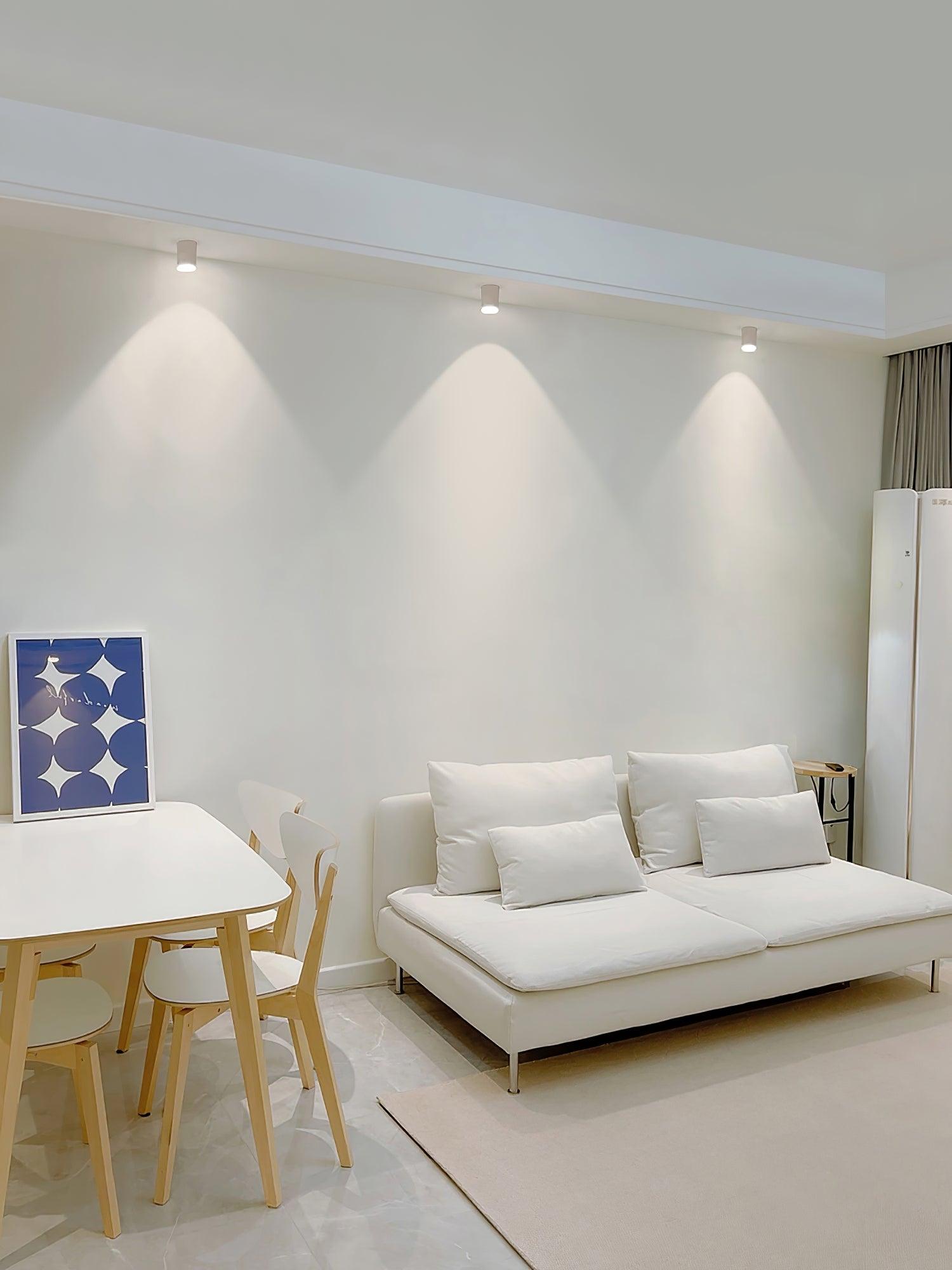 Celinaya Ceiling Light Acrylic