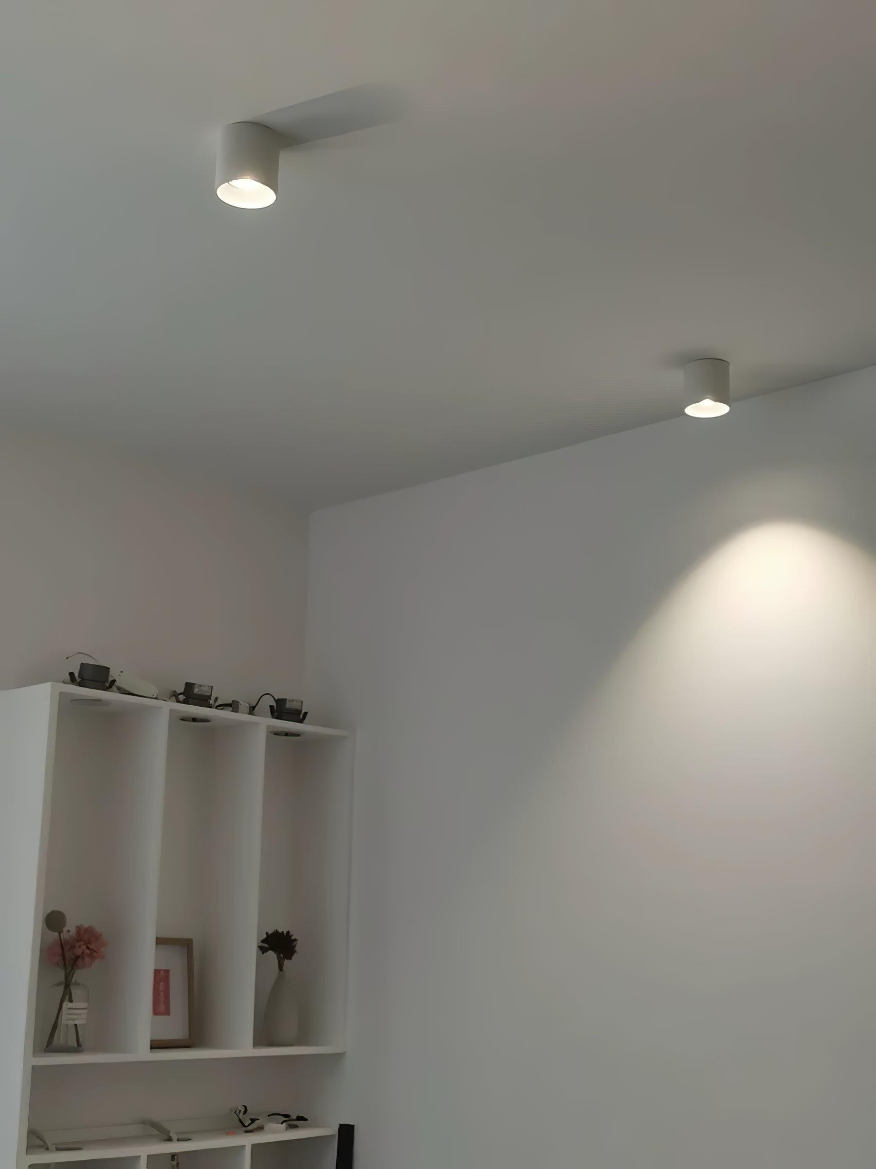 Celinaya Ceiling Light Acrylic
