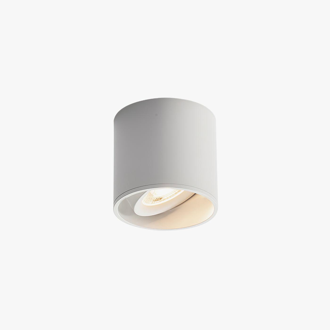 Celinaya Ceiling Light Acrylic