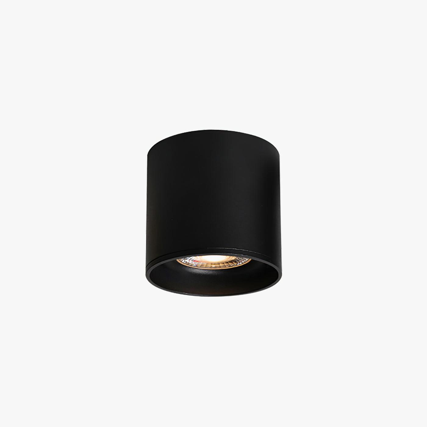 Celinaya Ceiling Light Acrylic