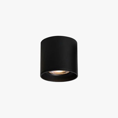 Celinaya Ceiling Light Acrylic