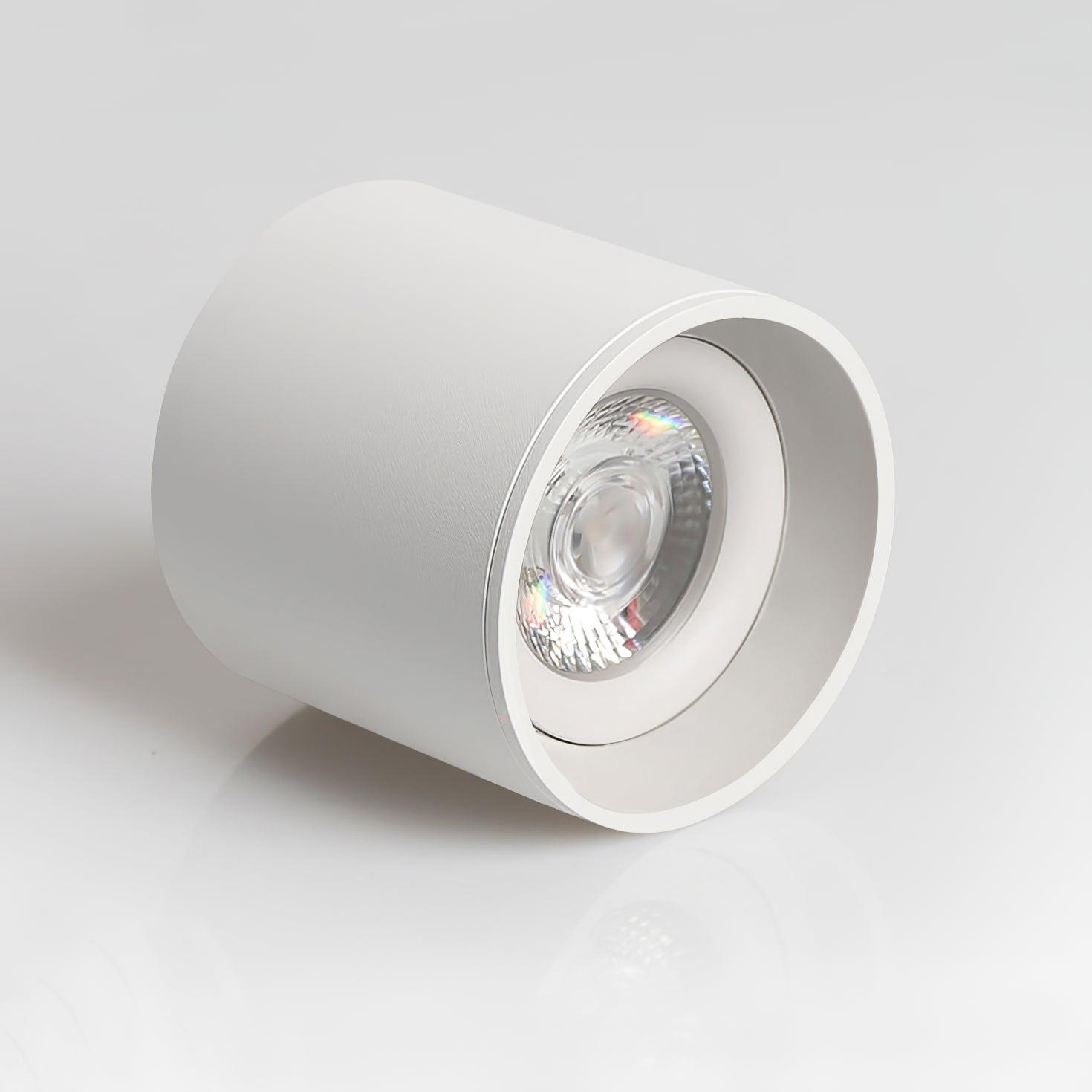 Celinaya Ceiling Light Acrylic