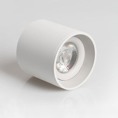 Celinaya Ceiling Light Acrylic