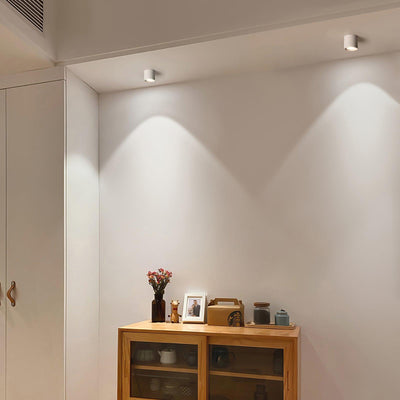 Celinaya Ceiling Light Acrylic