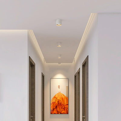Celinaya Ceiling Light Acrylic