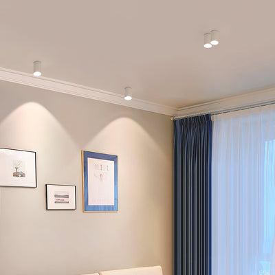 Celinaya Ceiling Light Acrylic