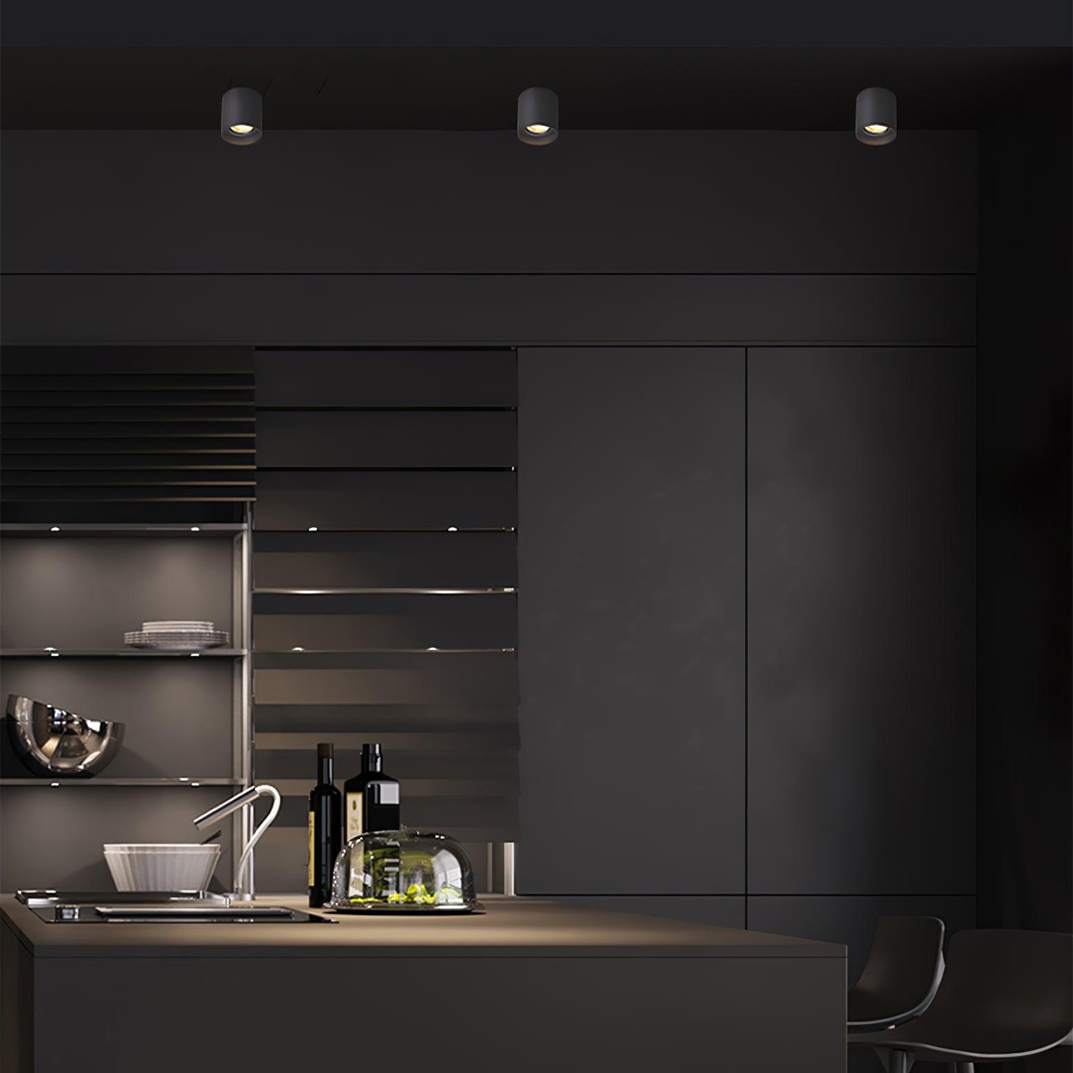Celinaya Ceiling Light Acrylic