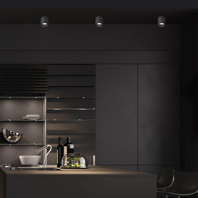Celinaya Ceiling Light Acrylic