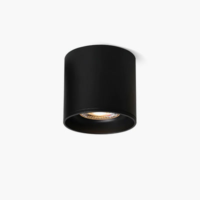 Celinaya Ceiling Light Acrylic