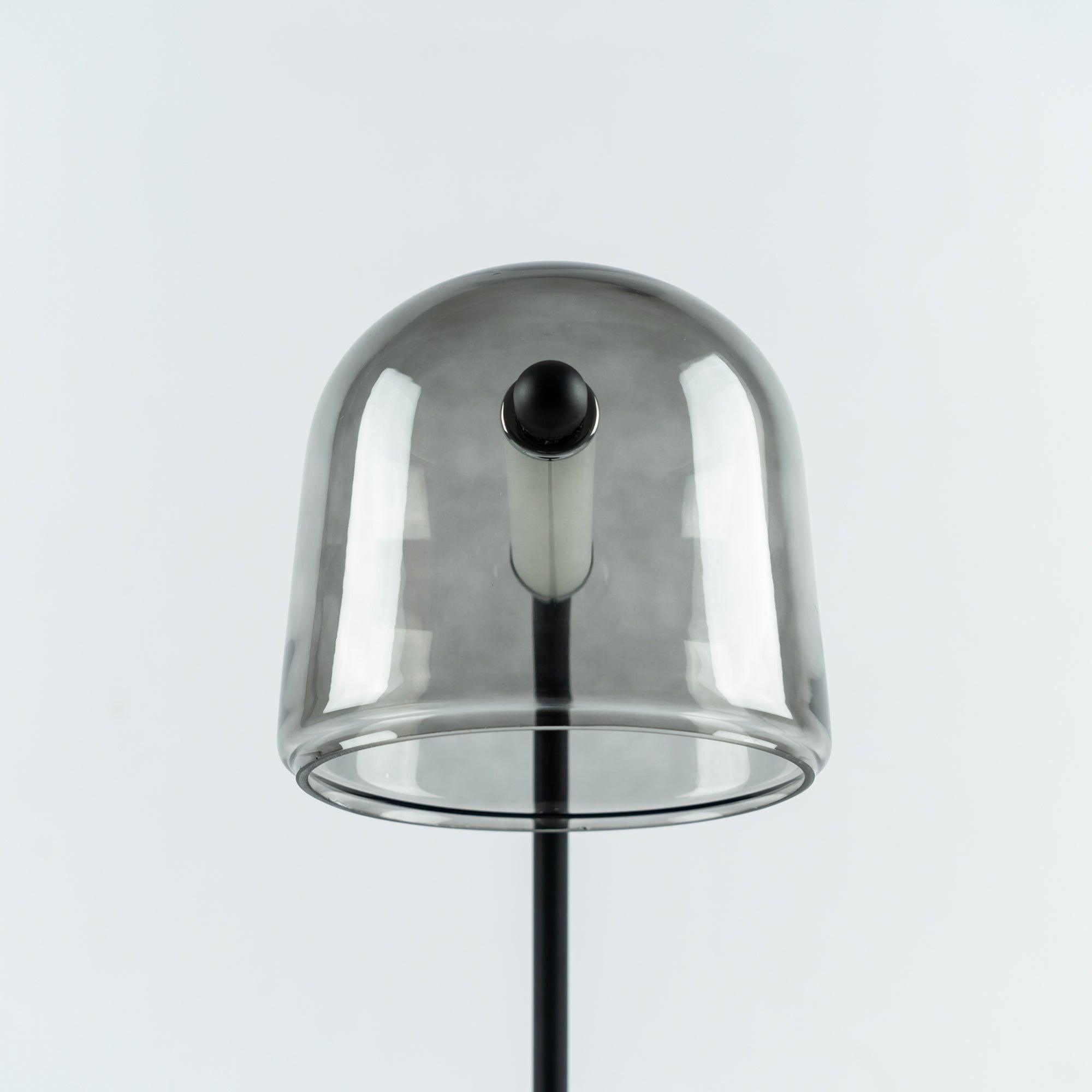 Caronel Modern Glass Table Light