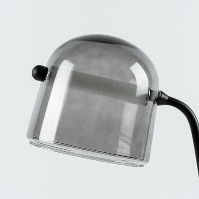 Caronel Modern Glass Table Light