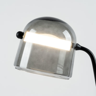 Caronel Modern Glass Table Light