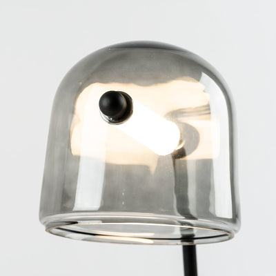Caronel Modern Glass Table Light