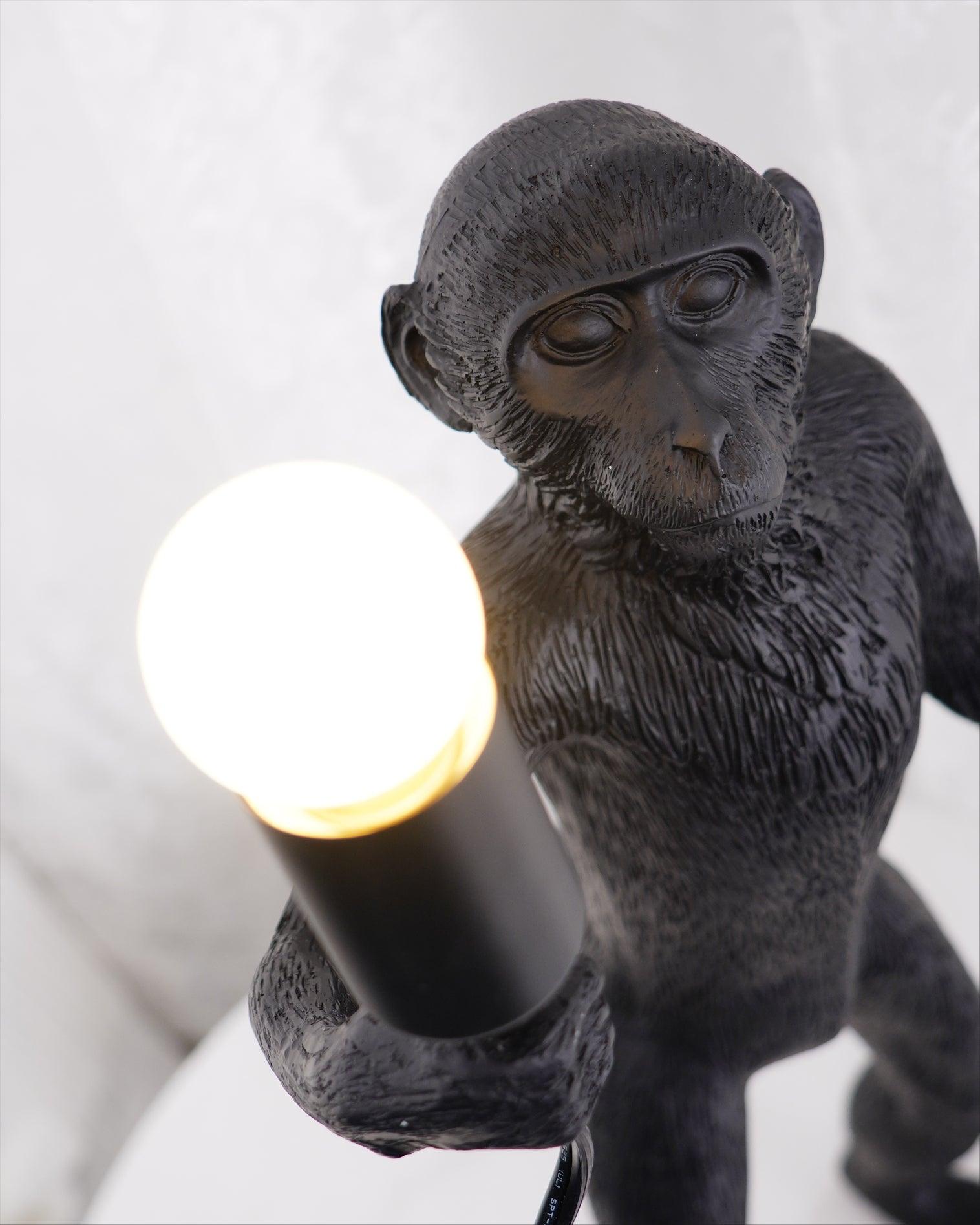 Nirielia Resin Whimsical Table Lamp
