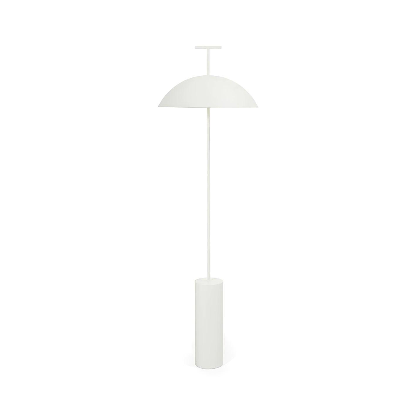 Ilraearil Modern Floor Lamp