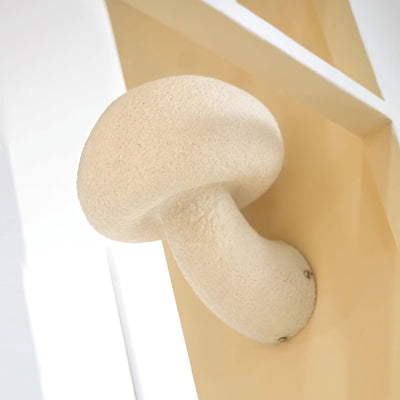Mior Individual Creativity Mushroom Resin Wall Lamp