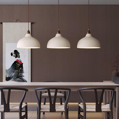 Nororena Minimalist Pendant Lamp