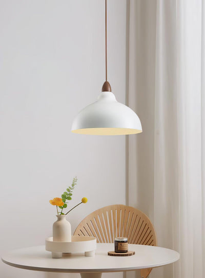 Nororena Minimalist Pendant Lamp