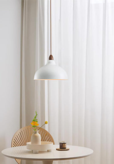 Nororena Minimalist Pendant Lamp