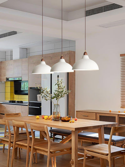 Nororena Minimalist Pendant Lamp