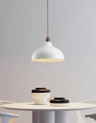 Nororena Minimalist Pendant Lamp