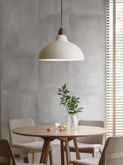 Nororena Minimalist Pendant Lamp