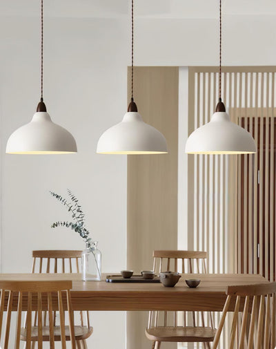 Nororena Minimalist Pendant Lamp