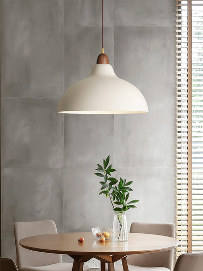 Nororena Minimalist Pendant Lamp