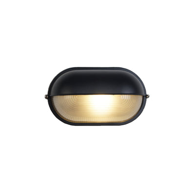 Hawstone Glass Outdoor Light