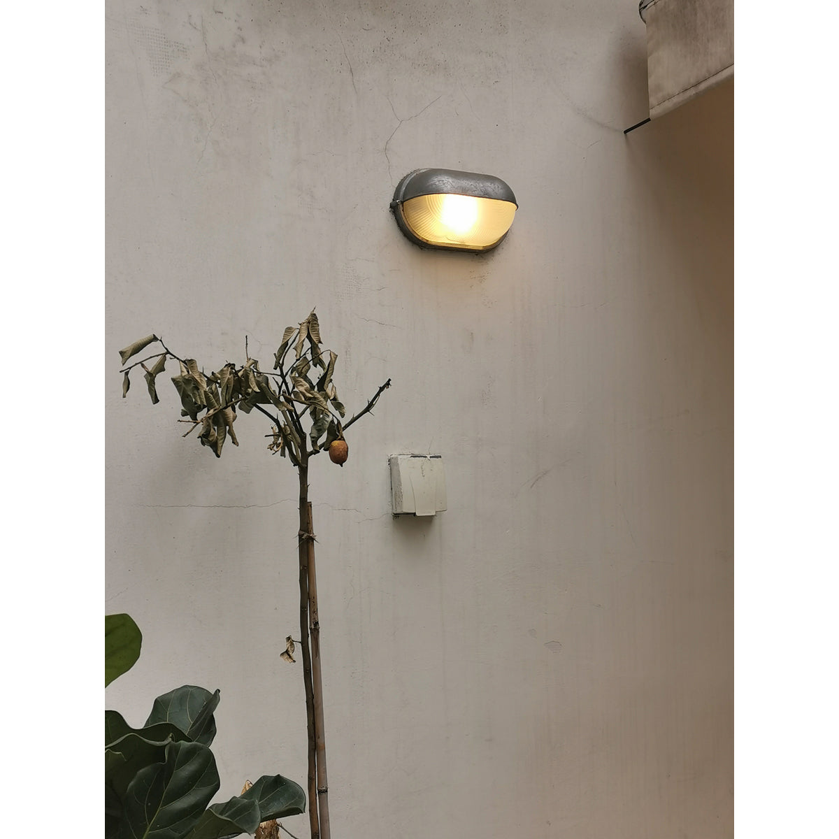 Hawstone Glass Outdoor Light