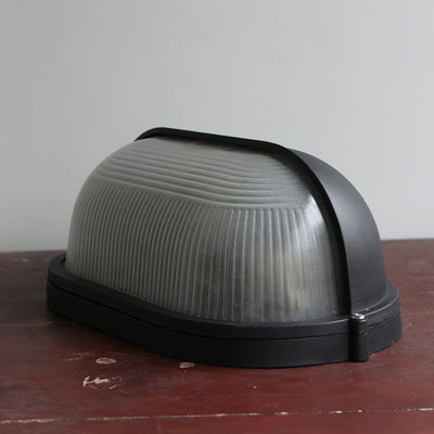 Hawstone Glass Outdoor Light
