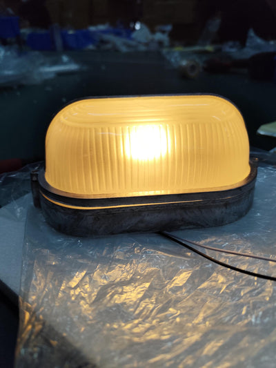 Hawstone Glass Outdoor Light