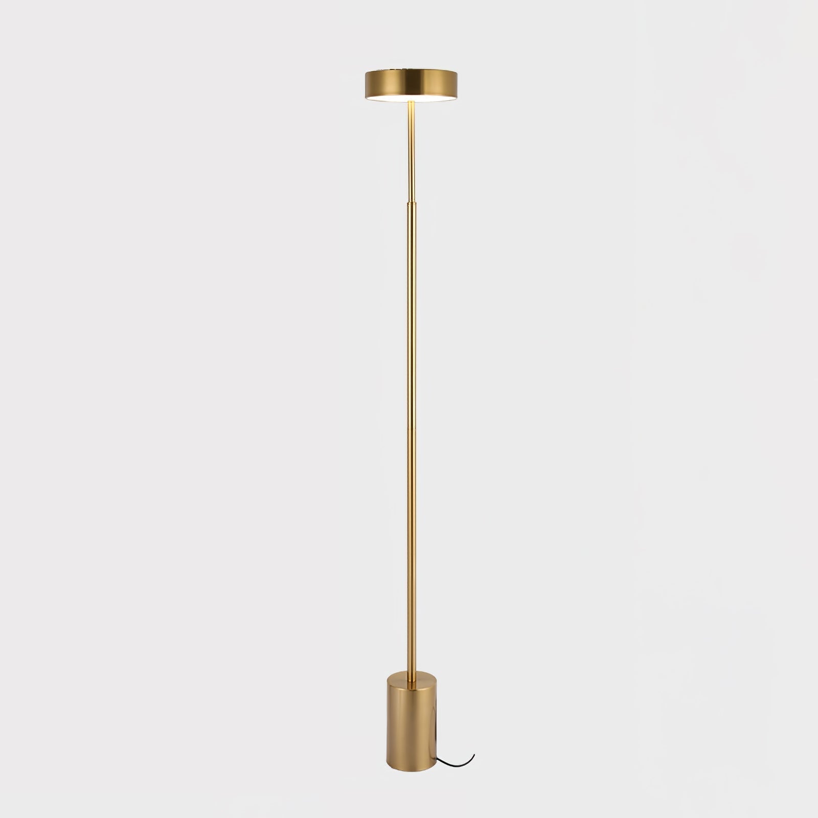 Circa Minimalist Rotatable Floor Lamp
