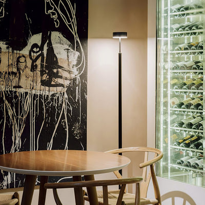 Circa Minimalist Rotatable Floor Lamp
