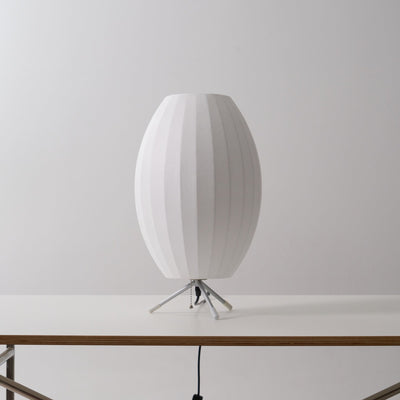 Rostix Steel Minimalist Table Lamp