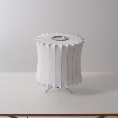 Rostix Steel Minimalist Table Lamp