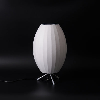 Rostix Steel Minimalist Table Lamp