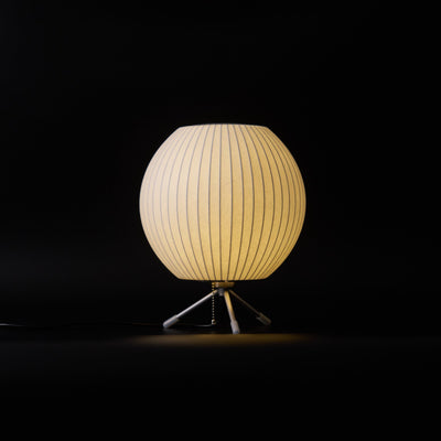 Rostix Steel Minimalist Table Lamp