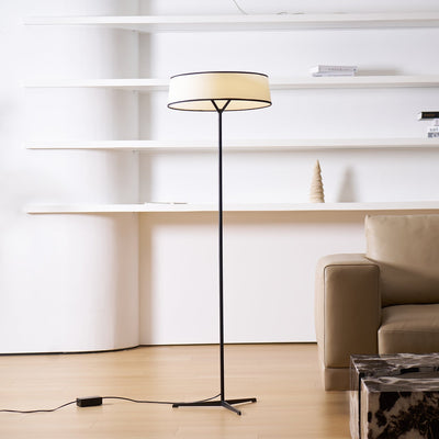 Zemaryre Modern Floor Lamp